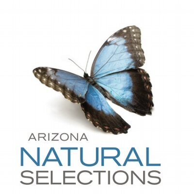 Arizona NaturalSelections of Mesa