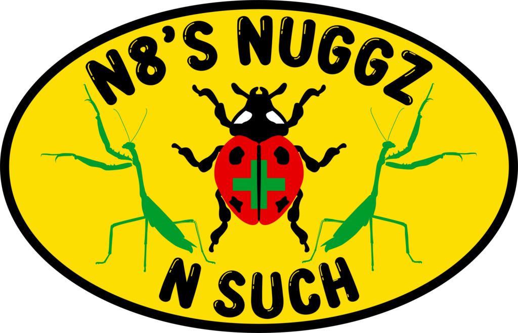N8’s Nuggz N Such